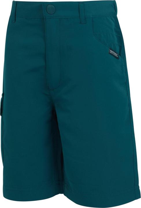 Produktbild Regatta Sorcer II Shorts (116)