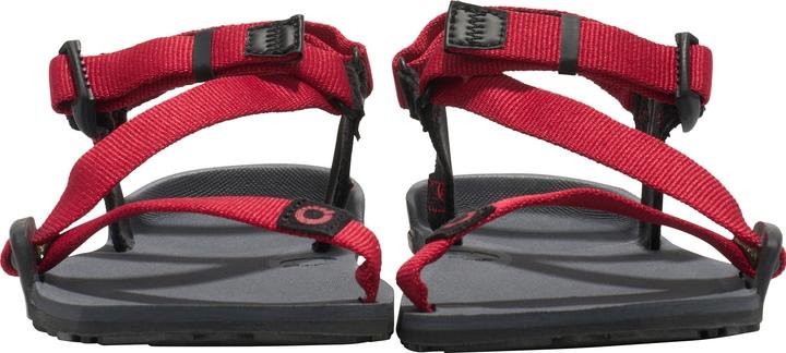 Actual product image Xero Shoes Z-Trail (30)