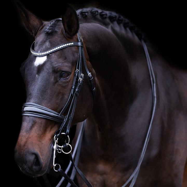 Actual product image Imperial Riding Fria