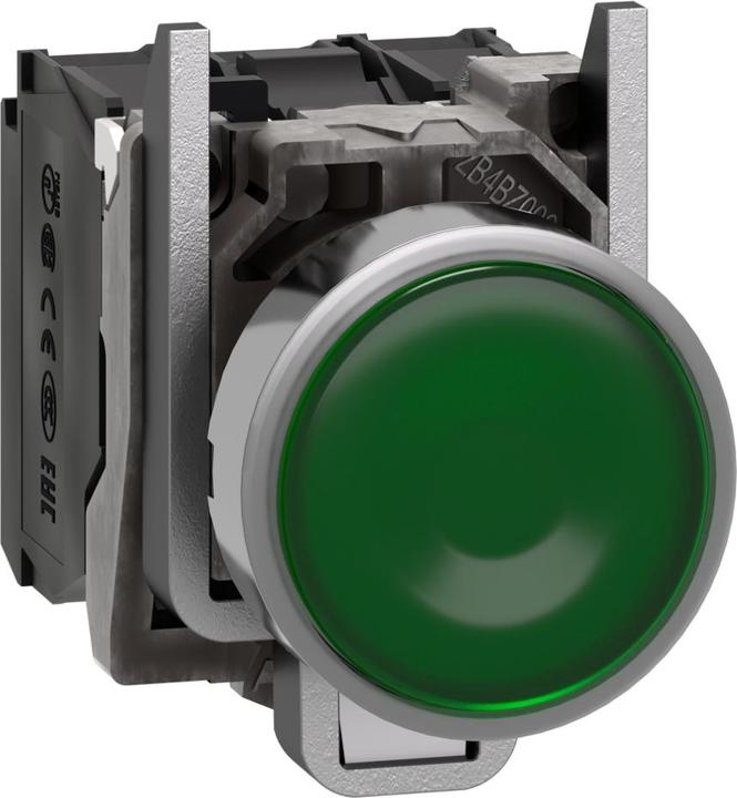 Immagine prodotto Schneider Electric Pulsante XB4BW33G5