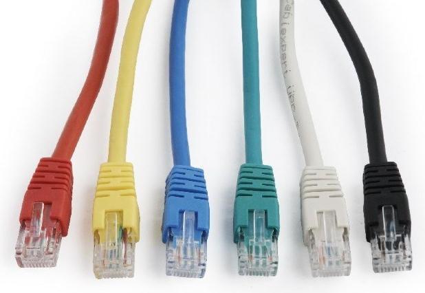 Actual product image Gembird Patch cable (UTP, CAT6, 0.25 m)