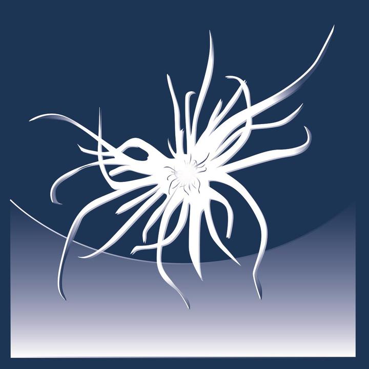 Image du produit Billerbeck Edition Diana (600 g, 160 x 210 cm)