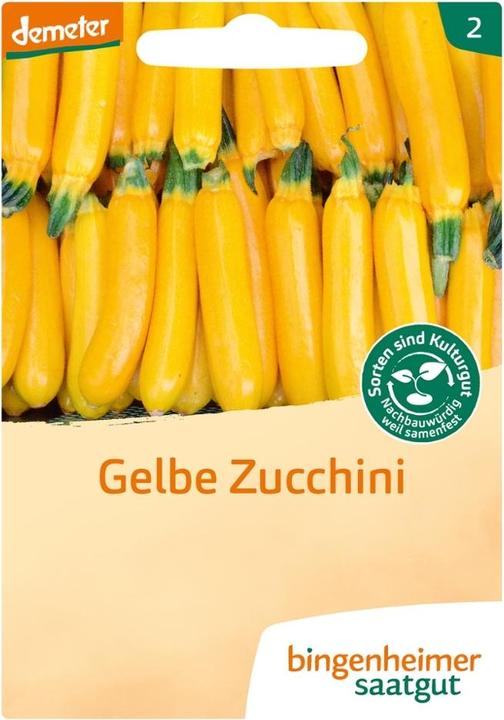 Actual product image Bingenheimer Saatgut Zucchini Gelb Solara (Vegetable seeds)