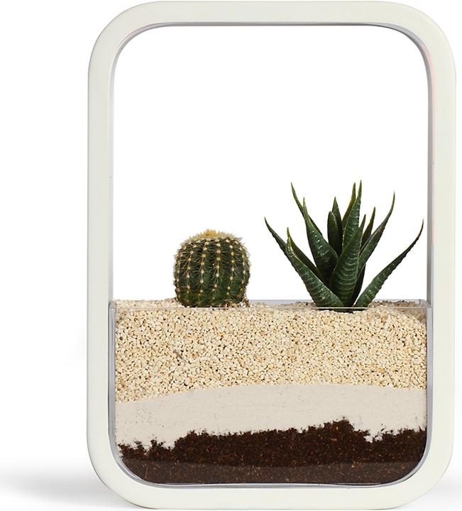 Image du produit Livoo Jardin d’intérieur (5.20 cm)