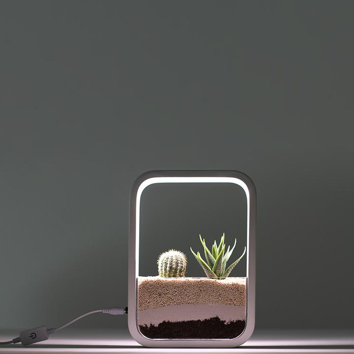 Image du produit Livoo Jardin d’intérieur (5.20 cm)