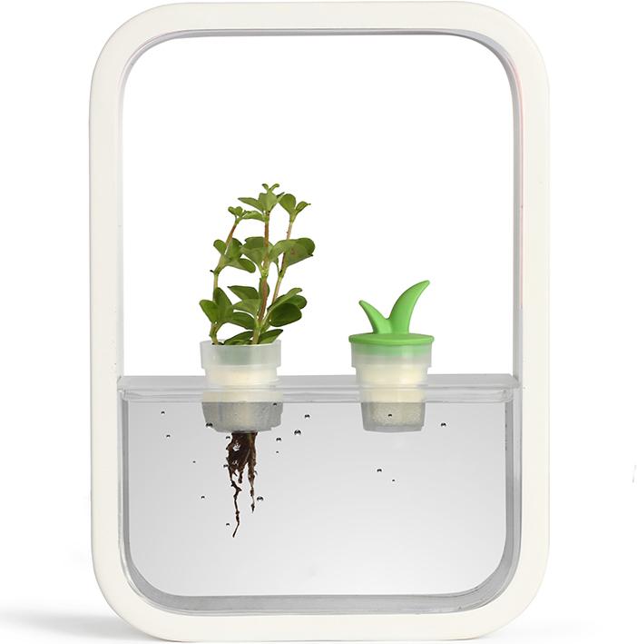 Image du produit Livoo Jardin d’intérieur (5.20 cm)