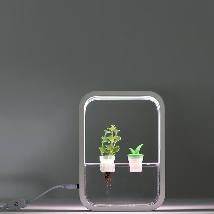 Image du produit Livoo Jardin d’intérieur (5.20 cm)