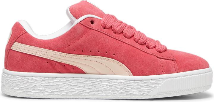 Tart Cherry-Island Pink