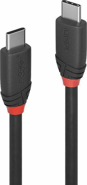 Actual product image Lindy black line (0.50 m, USB 3.1)