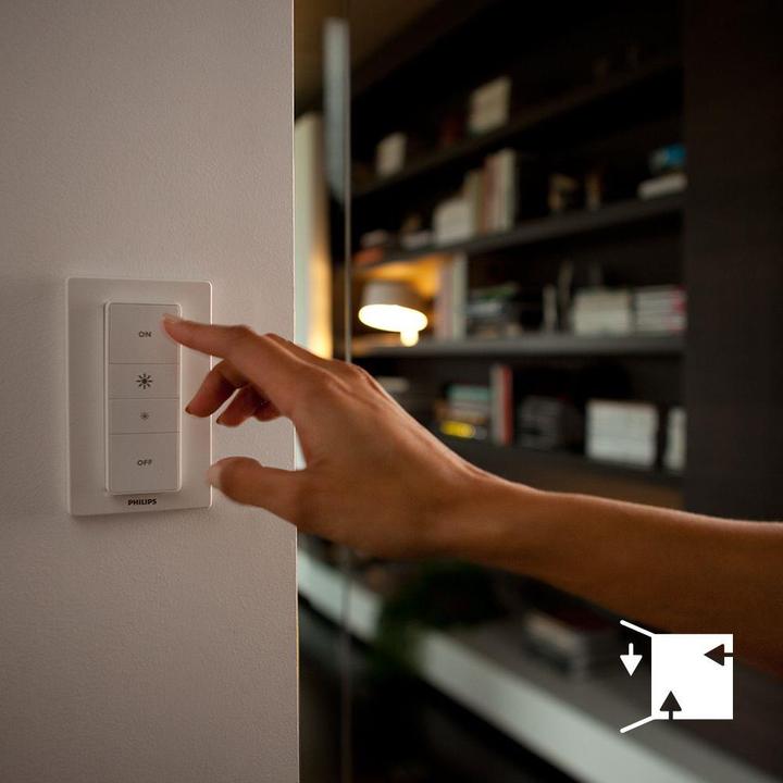 Actual product image Philips Hue dimmer switch