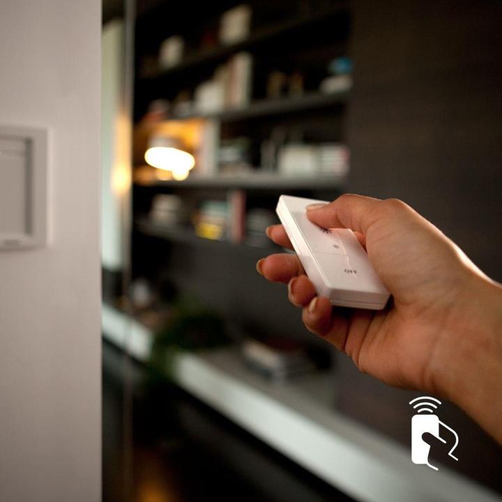 Actual product image Philips Hue dimmer switch