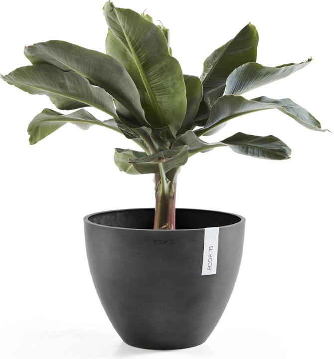 Produktbild Ecopots Antwerp (30 cm)