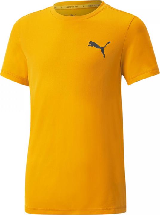 Produktbild Puma ACTIVE Small Logo Tee-586980 (140)