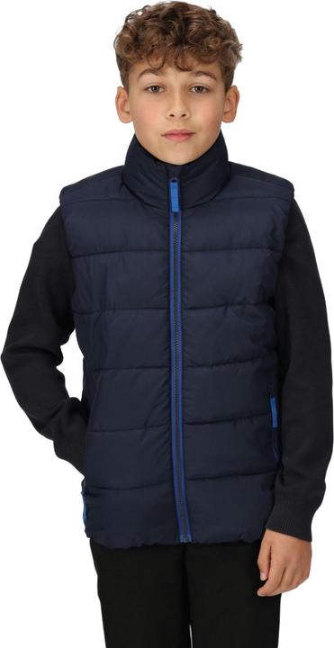 Actual product image Regatta Childrens/Kids Scholar Thermal Body Warmer (116)