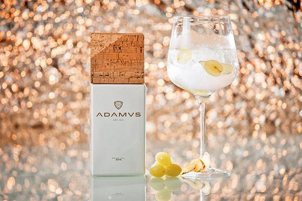 Produktbild Adamus Dry Gin (1 x 70 cl)