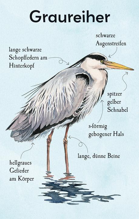 Produktbild Natur-Entdecker-Karten: Unsere heimisch