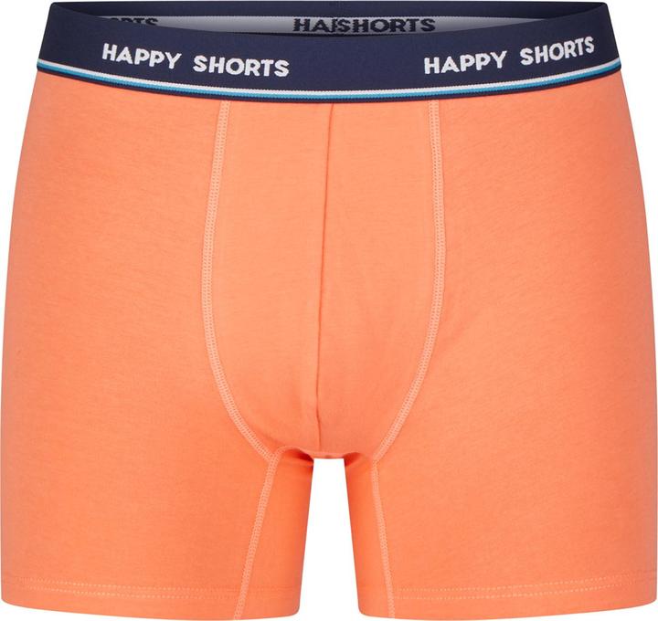 Image du produit Happy shorts Retro Pants Jersey (L, Lot de 3)