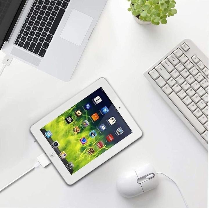 Produktbild PowerGuard Adapter (Lightning, 30-pin)