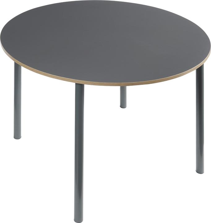 Immagine prodotto En.Casa Tavolo da pranzo Lindesberg per 4 persone Ø100 cm Grigio (Ø 100 x 75 cm)