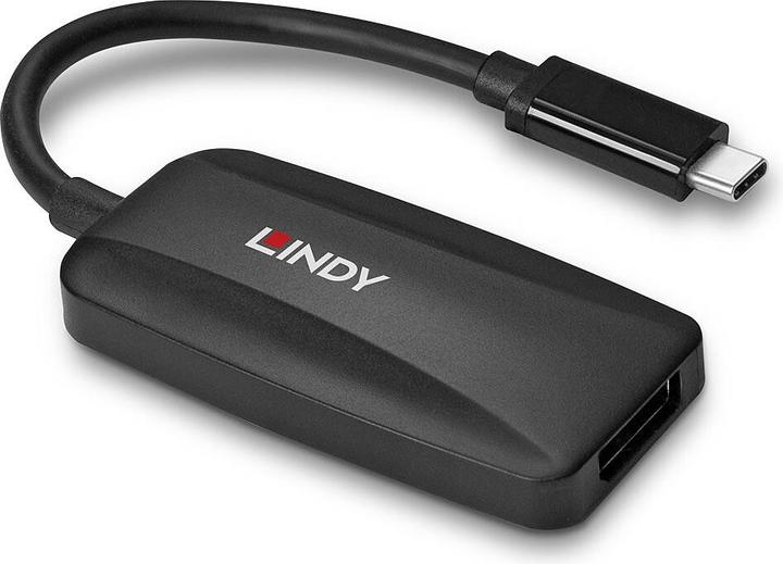 Actual product image Lindy USB Type C to DisplayPort 1.4 Converter Connects an 8K display with DP connector to the USB Type... (USB-C, 13 cm)