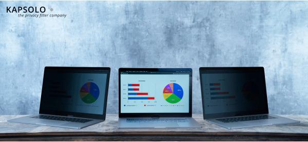 Actual product image Kapsolo 2-way privacy filter/abne KAP12578 DELL Latitude 7310, 7320 (14")
