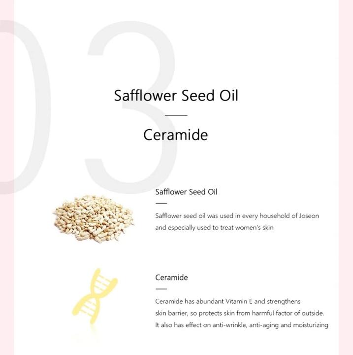 Actual product image Beauty of Joseon Dynasty Cream (50 ml, 24h cream)