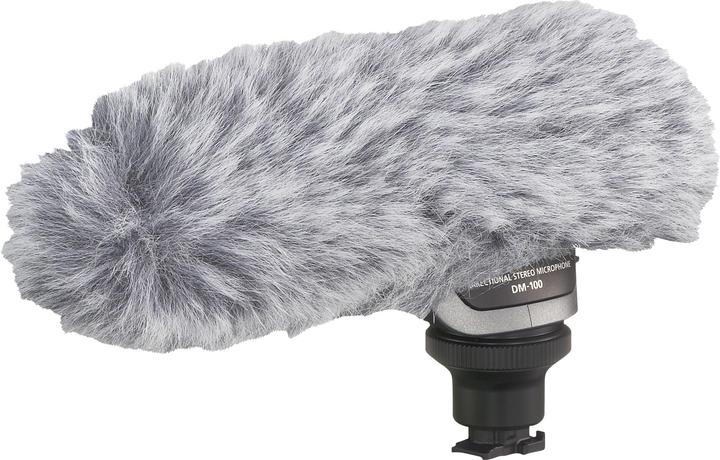 Image du produit Canon Dm-100