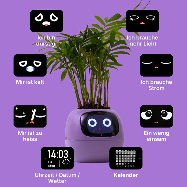 Actual product image Hermex Ivy Smart Planter (11 cm)