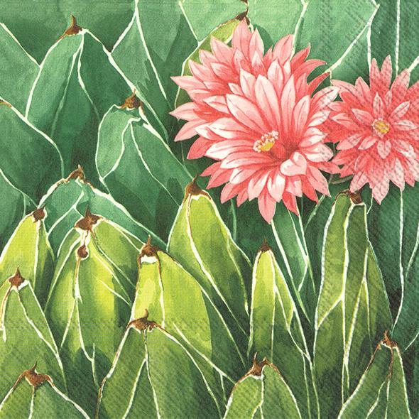 Image du produit IHR Plante du désert (5 x, 33 x 33 cm)