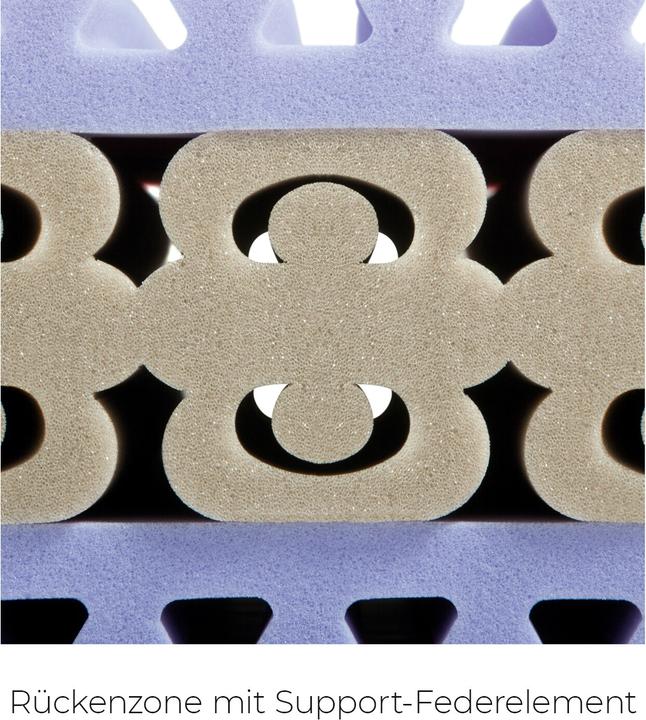 Produktbild Sleepwell24 basel allergiker (100 x 220 cm, Schaumstoffkern)