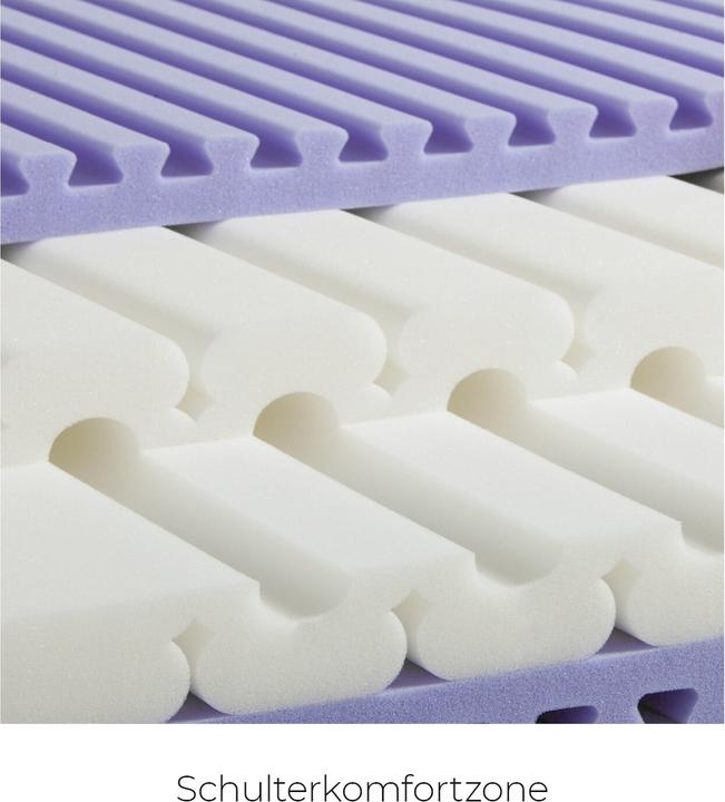 Immagine prodotto Sleepwell24 allergici di basilea (120 x 220 cm, Nucleo di schiuma)