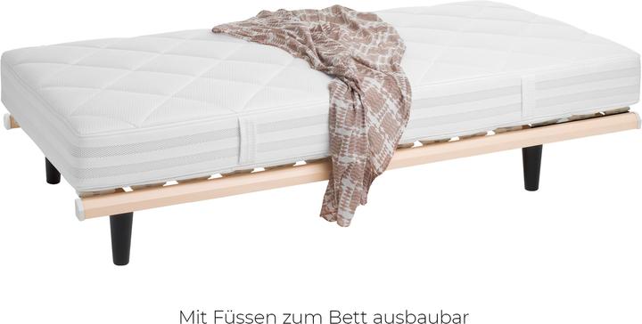 Immagine prodotto Sleepwell24 flex berne