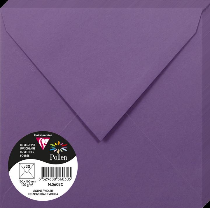 Immagine prodotto Pollen Umschläge (165 x 165 mm, 20 x)