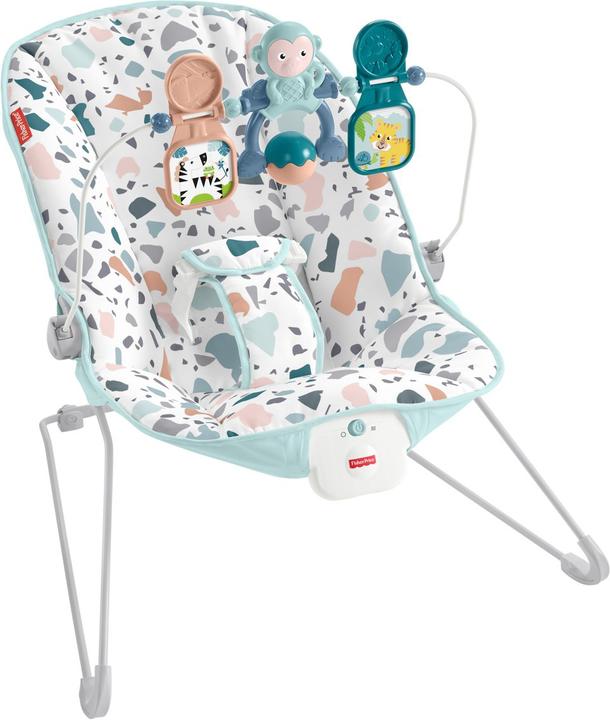 Actual product image Fisher-Price Baby's Bouncer
