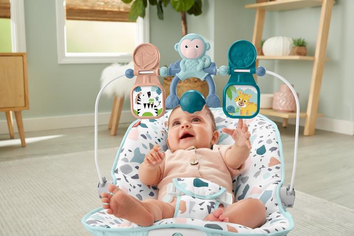 Actual product image Fisher-Price Baby's Bouncer