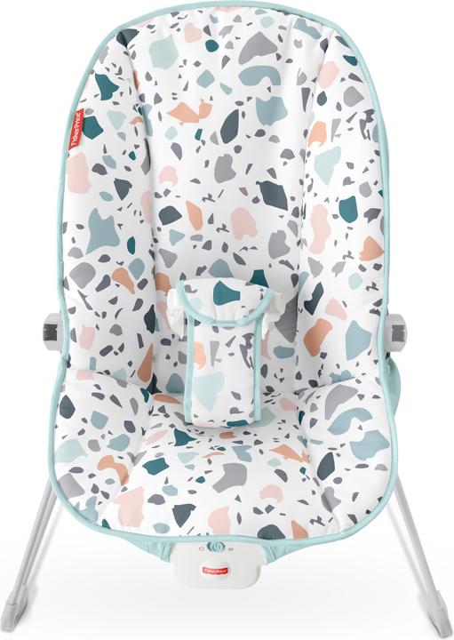 Actual product image Fisher-Price Baby's Bouncer