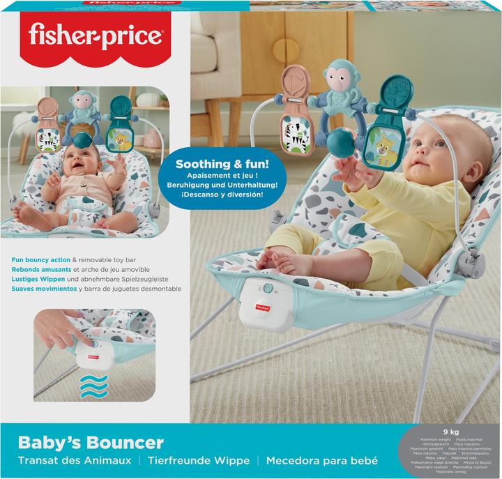 Actual product image Fisher-Price Baby's Bouncer