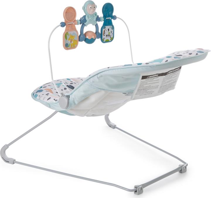 Actual product image Fisher-Price Baby's Bouncer