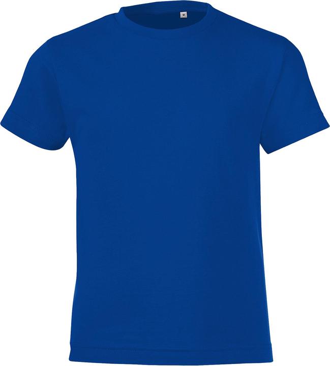 Bleu roi