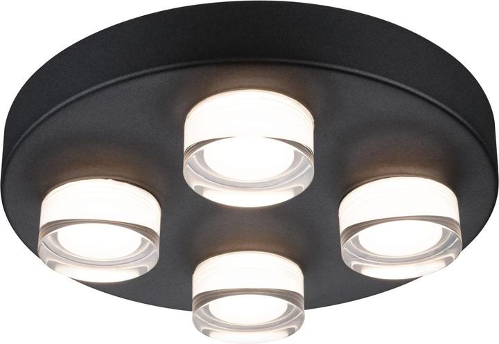 Image du produit Paulmann Badleuchte Kame (2480 lm)
