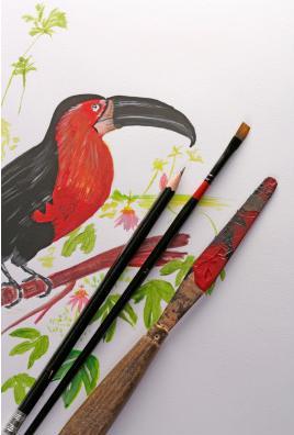 Actual product image Clairefontaine Paint On (250 g/m², 40 x)