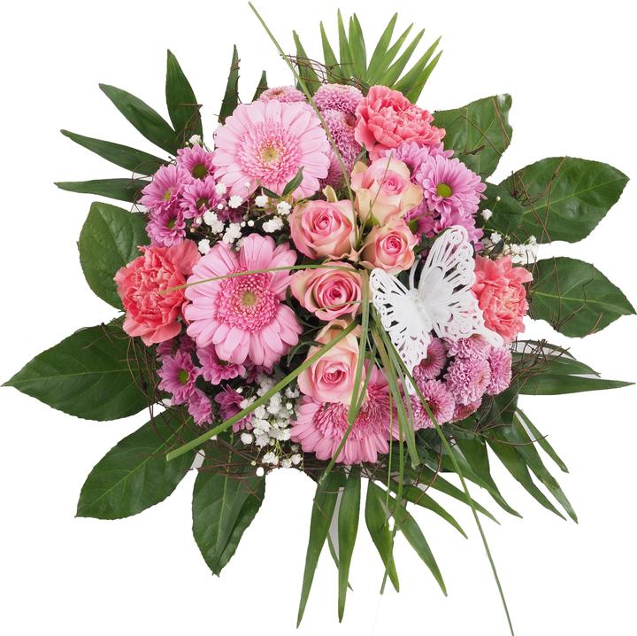 Rosa