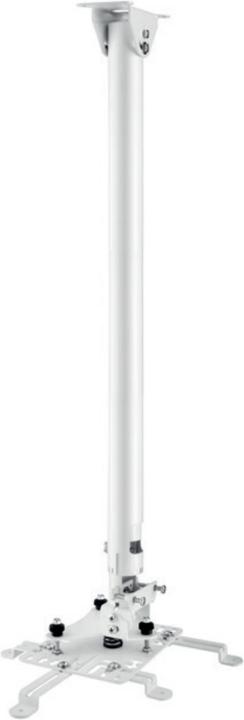 Hagor HA BDH Supporto per proiettore a soffitto in acciaio inossidabile (Soffitto)
