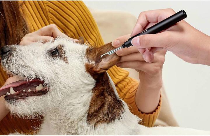 Image du produit Technaxx Otoscope (Auriculaire)
