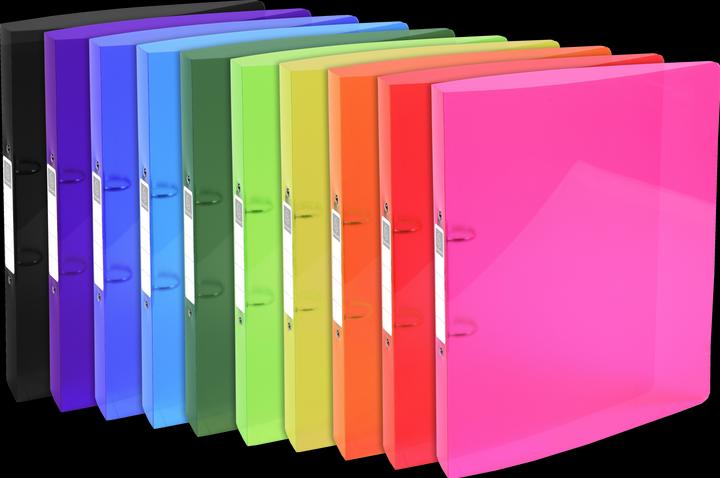 Actual product image Exacompta Folder (A4, 40 mm, 1 Piece)