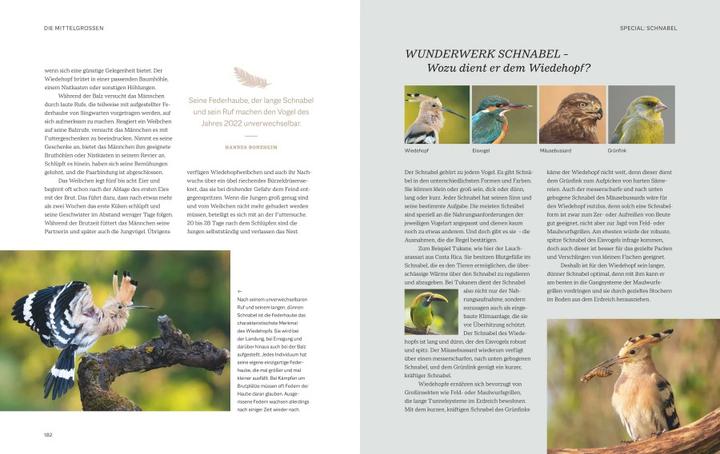 Produktbild Die magische Welt unserer Vögel (Deutsch, Matthias Futterer, Hannes Bonzheim, 2022)