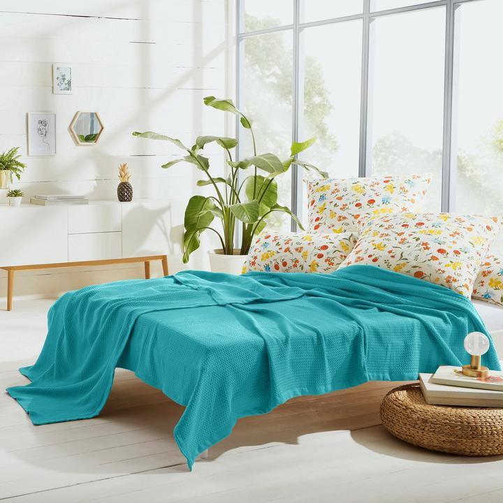 Immagine prodotto Erwin Müller Coperta estiva (220 x 240 cm)