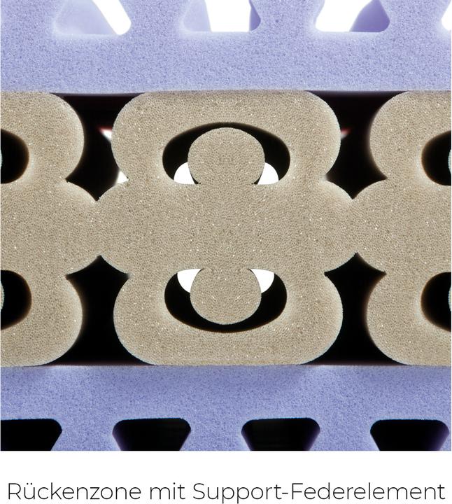 Immagine prodotto Sleepwell24 allergici di basilea (140 x 200 cm, Nucleo di schiuma)