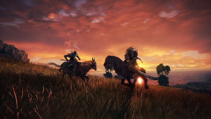 Produktbild Bandai Namco Elden Ring (PS4, DE, FR, IT)
