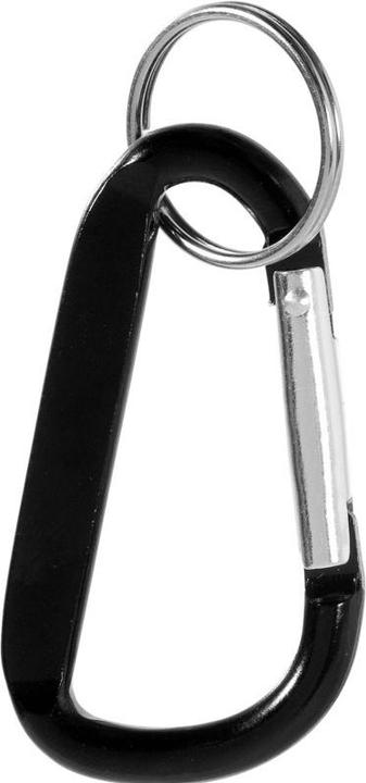 Actual product image Generic Timor Recycled Aluminium Carabiner Key Chain